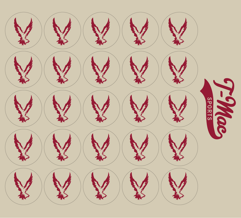 Hawk Mini Award Decals