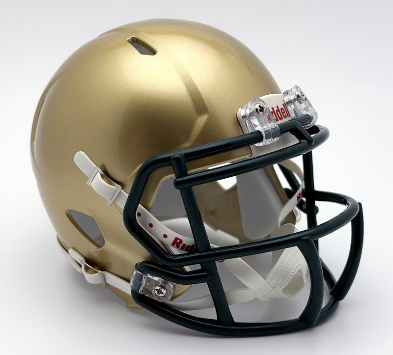 St. Vincent St. Mary (OH) High School Mini Football Helmet