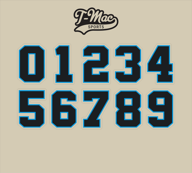 Panthers Mini Numbers