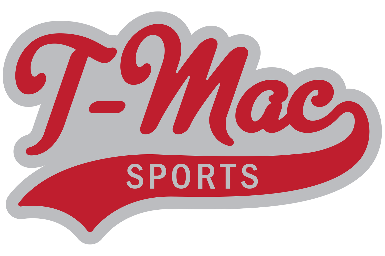 Wolverine Award Decals for Mini Football Helmets — TMac Sports