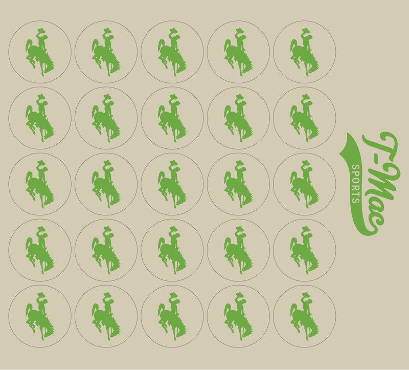 Bronco Award Decals