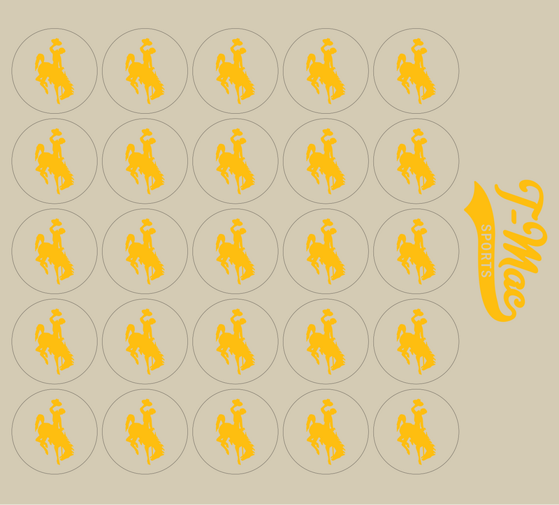 Bronco Award Decals