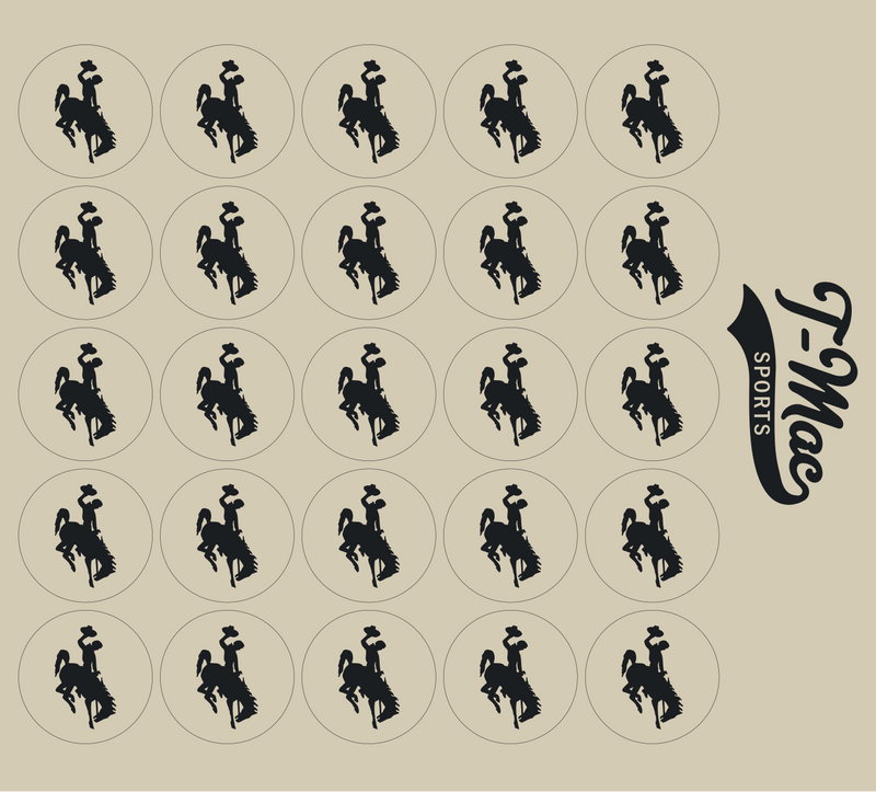 Bronco Award Decals