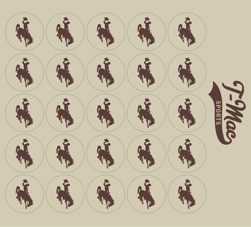 Bronco Award Decals