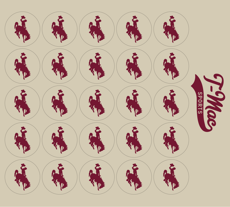 Bronco Award Decals