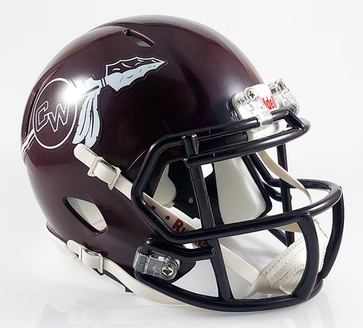 Canal Winchester (OH) (2006) High School Mini Football Helmet