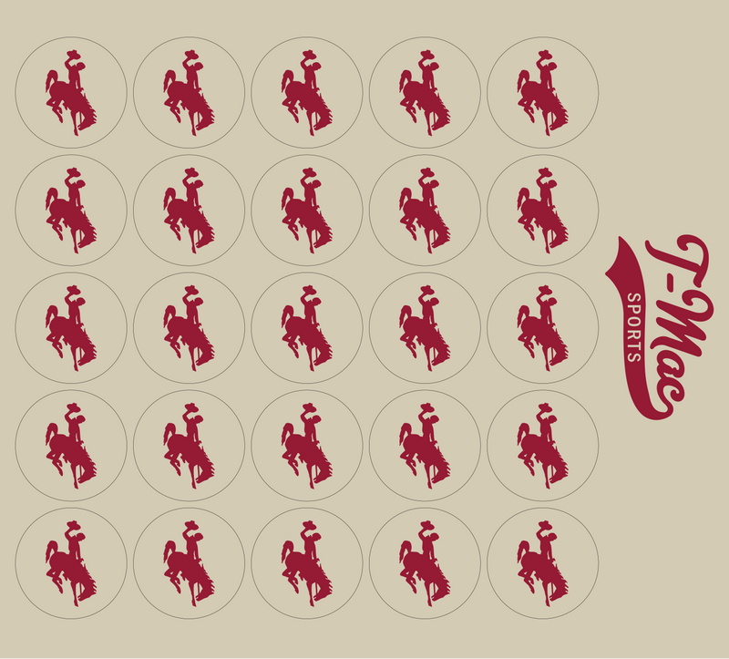 Bronco Award Decals