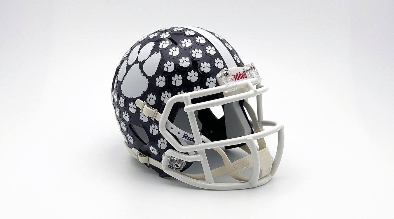 Chesapeake Mini Helmet with Paw Award Decals