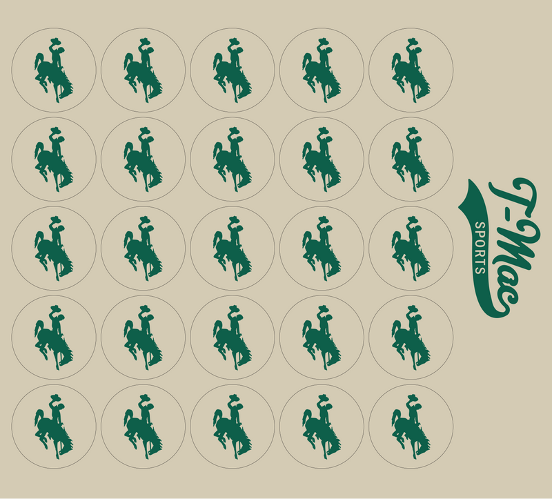 Bronco Award Decals