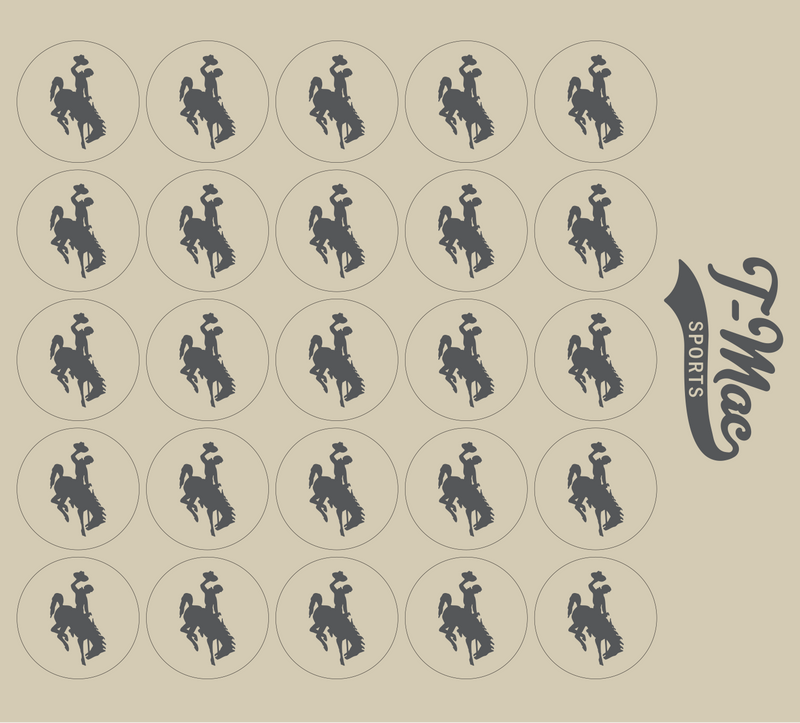 Bronco Award Decals