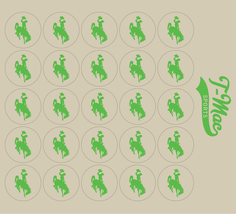 Bronco Award Decals