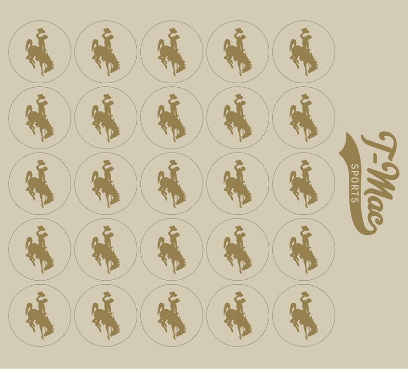 Bronco Award Decals