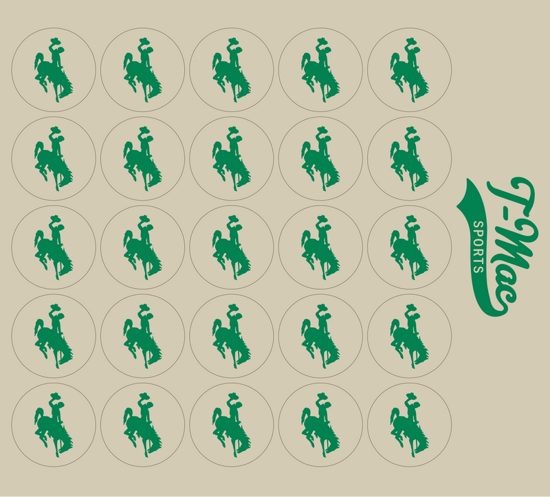 Bronco Award Decals