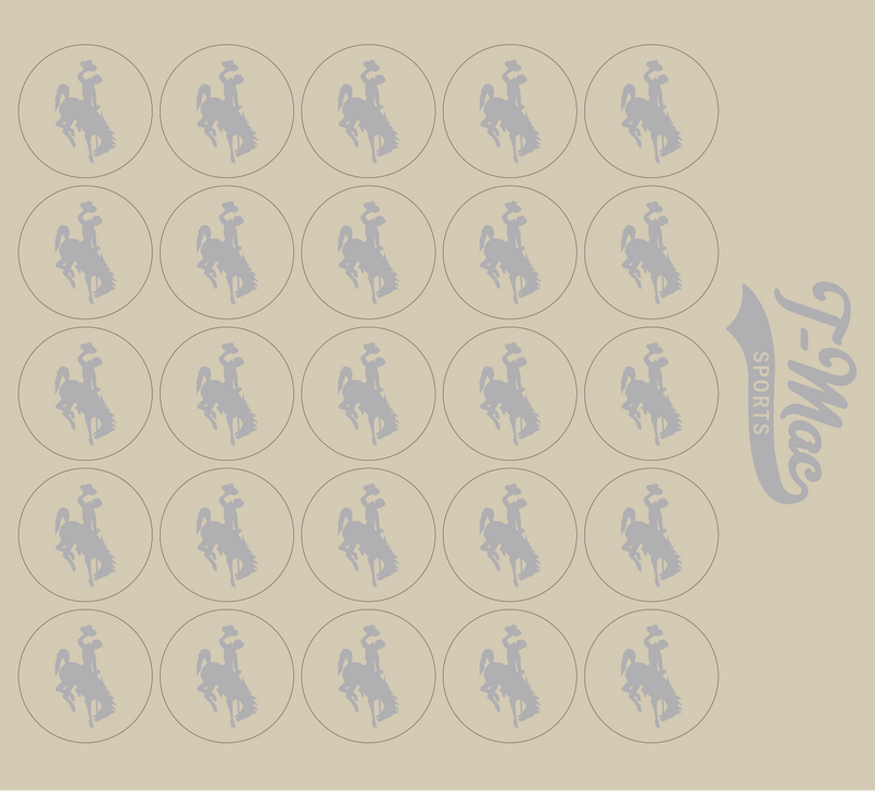 Bronco Award Decals