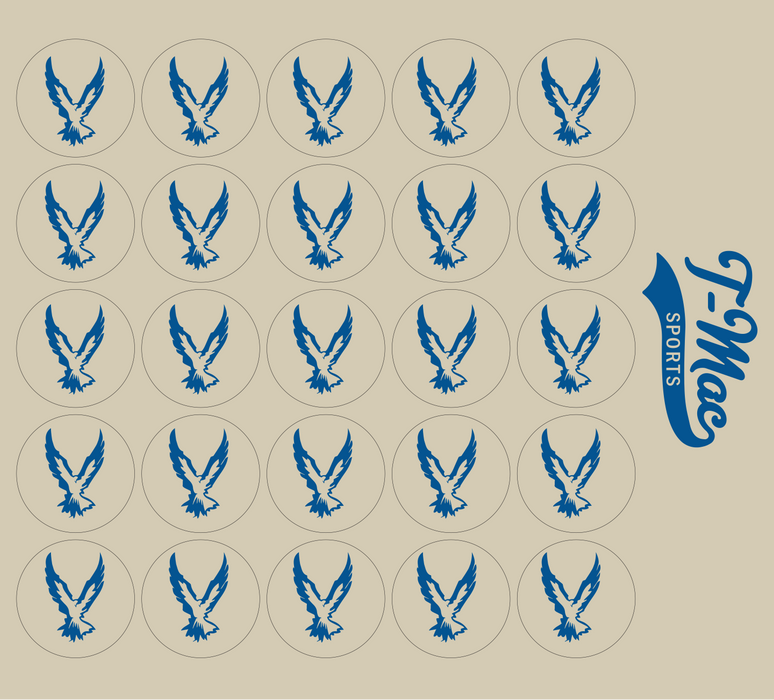 Hawk Mini Award Decals
