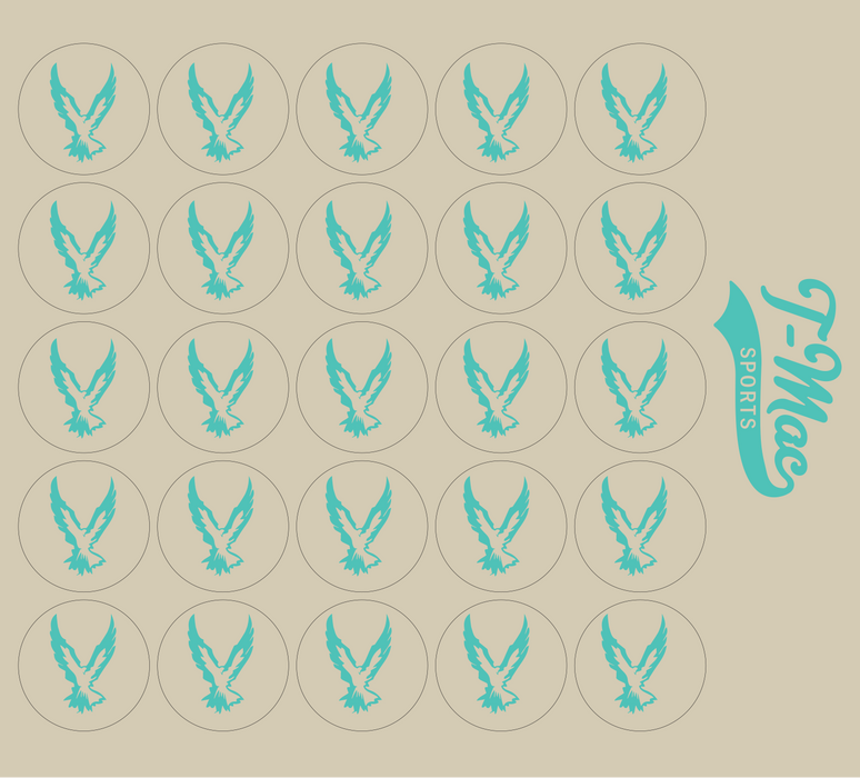 Hawk Mini Award Decals