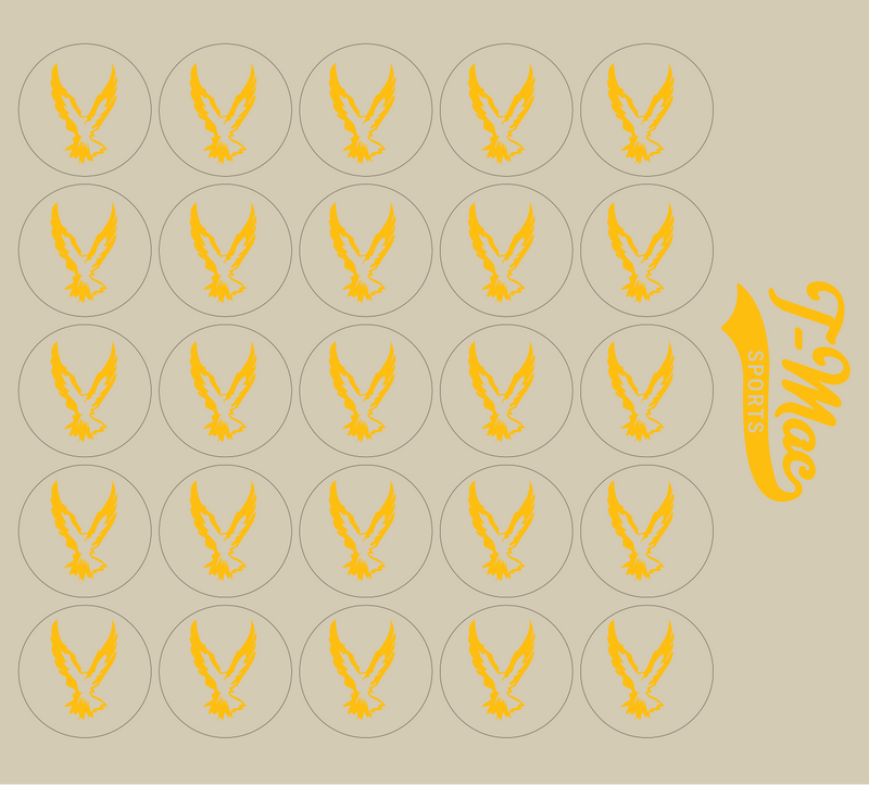 Hawk Mini Award Decals
