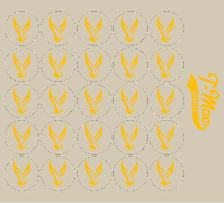 Hawk Mini Award Decals