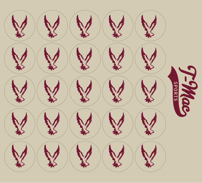 Hawk Mini Award Decals