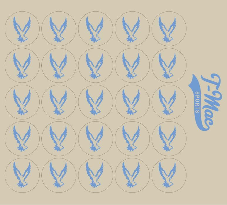Hawk Mini Award Decals