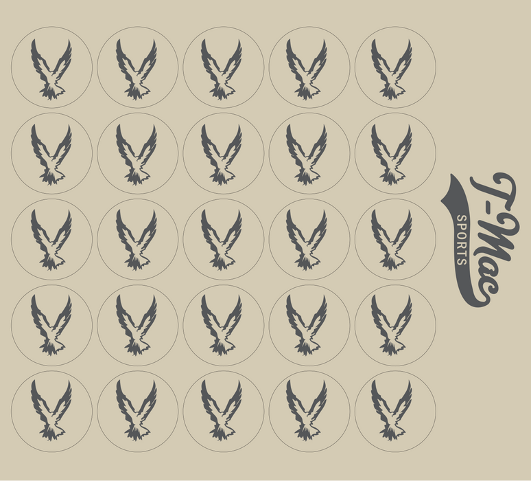 Hawk Mini Award Decals