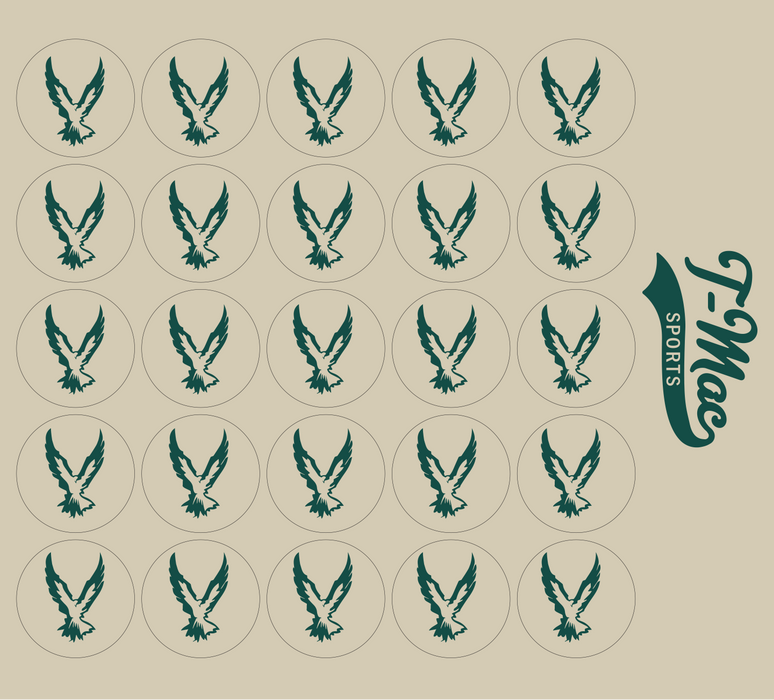 Hawk Mini Award Decals