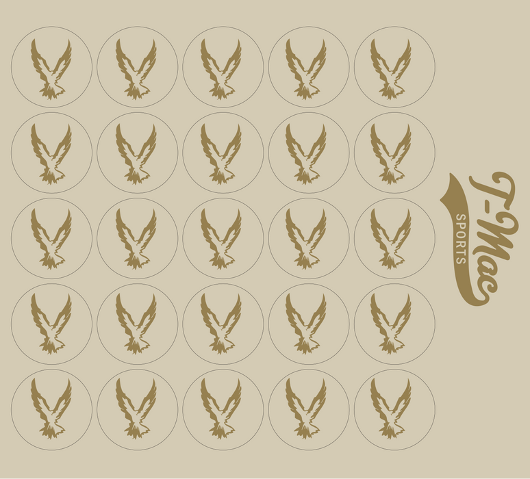 Hawk Mini Award Decals