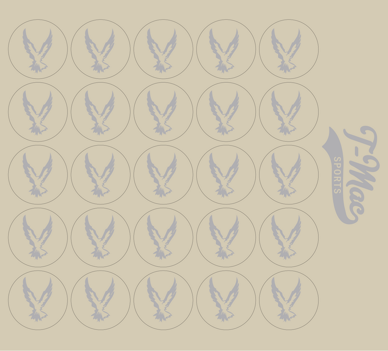 Hawk Mini Award Decals