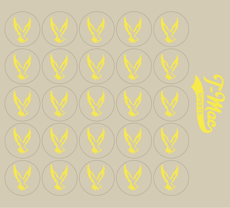 Hawk Mini Award Decals
