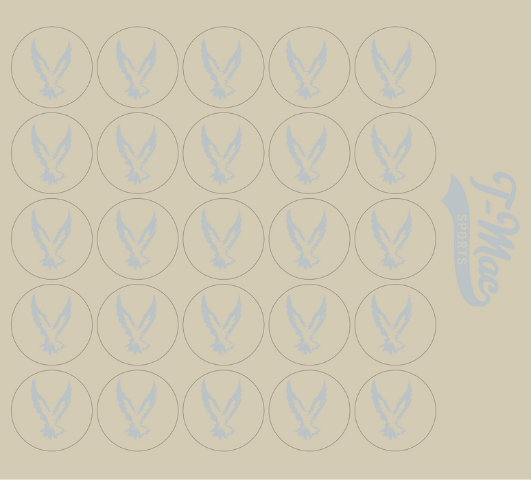 Hawk Mini Award Decals