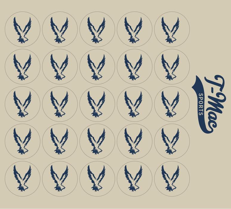 Hawk Mini Award Decals