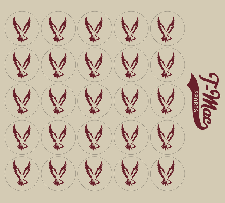 Hawk Mini Award Decals