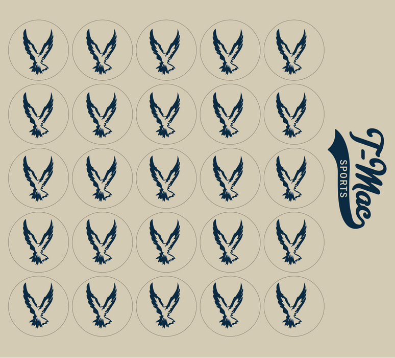Hawk Mini Award Decals