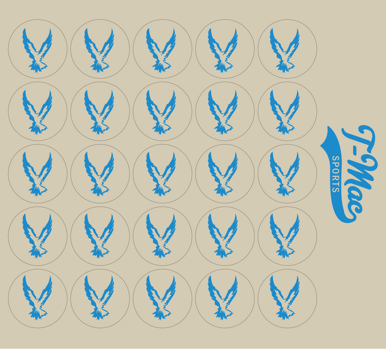 Hawk Mini Award Decals