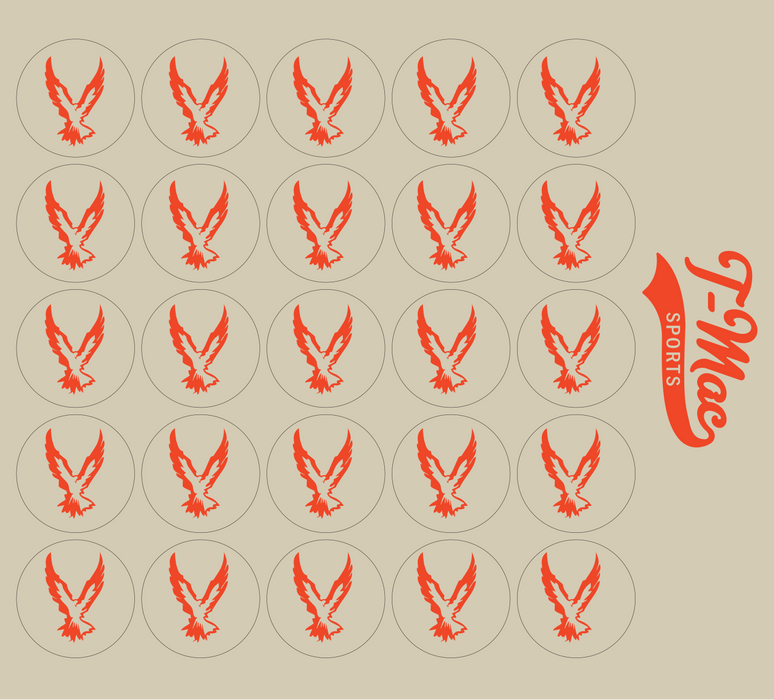 Hawk Mini Award Decals