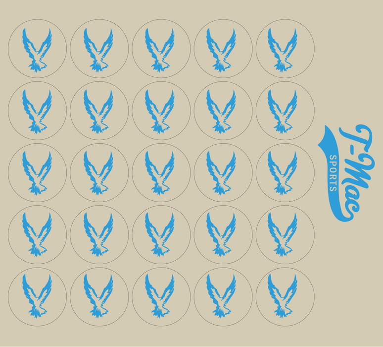 Hawk Mini Award Decals