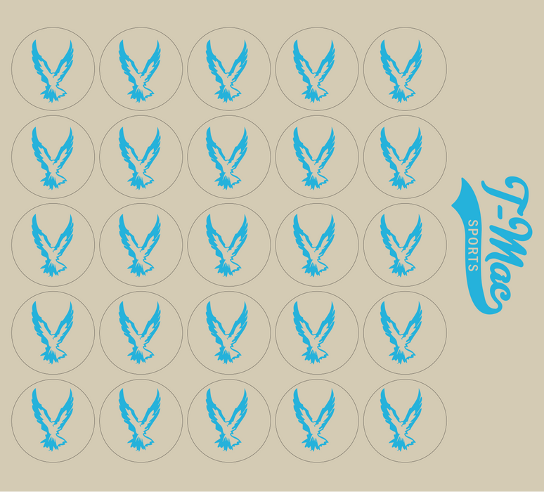 Hawk Mini Award Decals