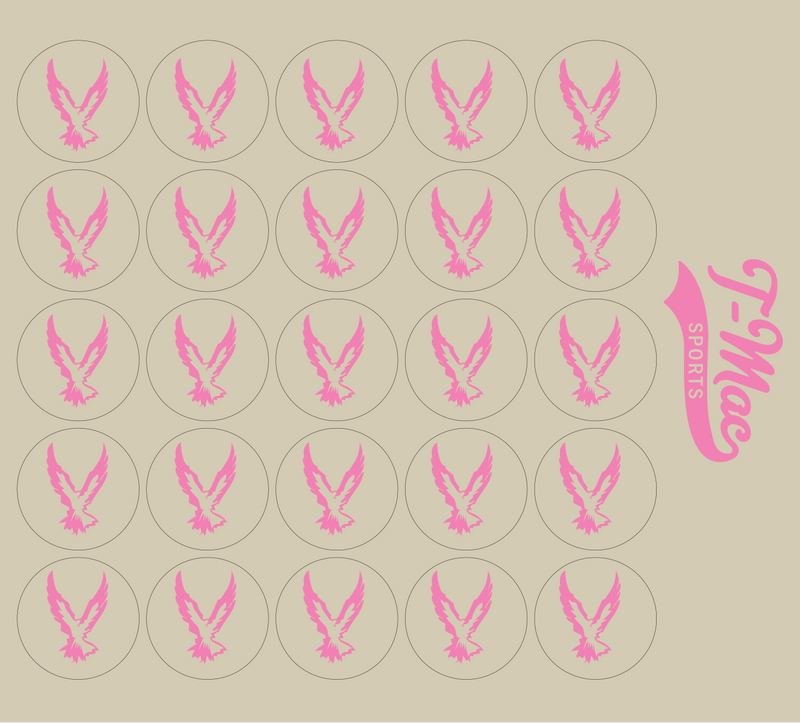 Hawk Mini Award Decals