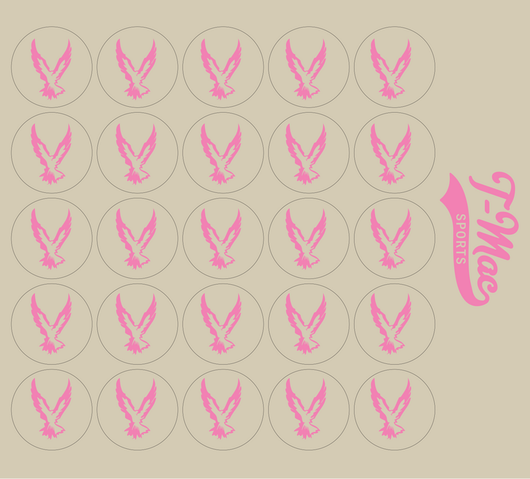 Hawk Mini Award Decals