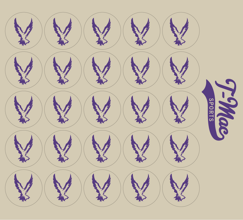 Hawk Mini Award Decals