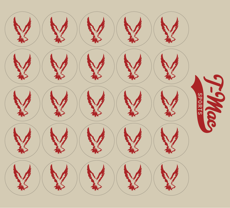 Hawk Mini Award Decals