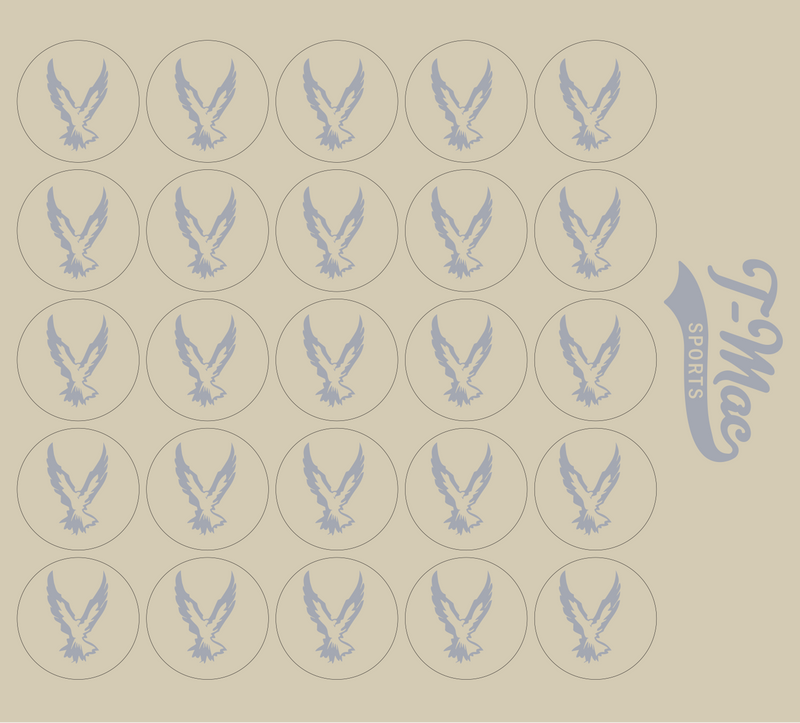 Hawk Mini Award Decals