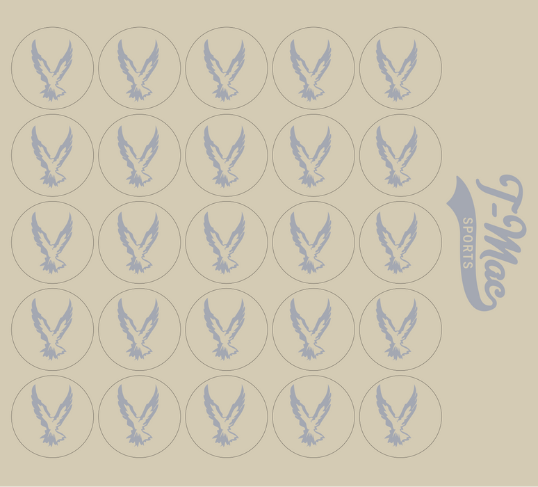 Hawk Mini Award Decals