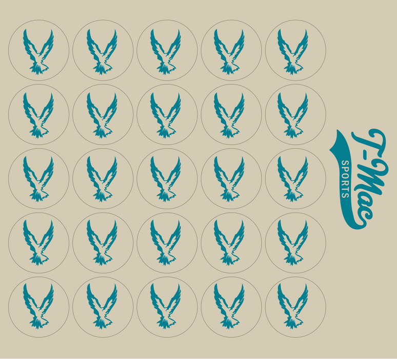 Hawk Mini Award Decals