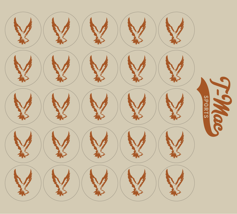 Hawk Mini Award Decals