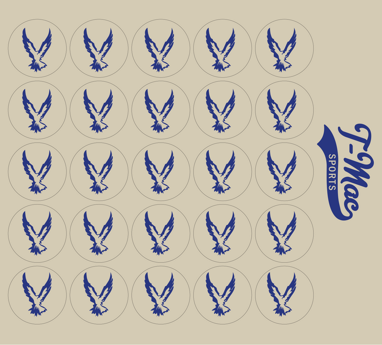Hawk Mini Award Decals