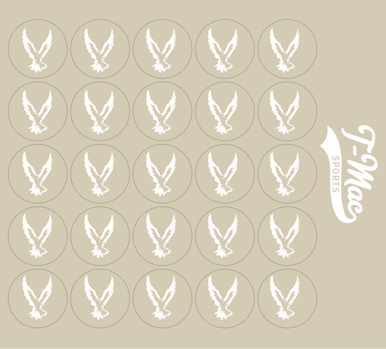 Hawk Mini Award Decals