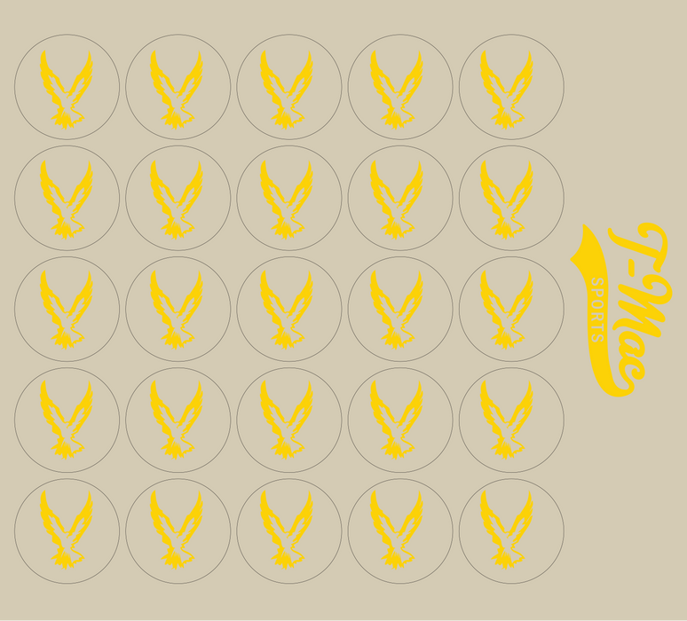 Hawk Mini Award Decals