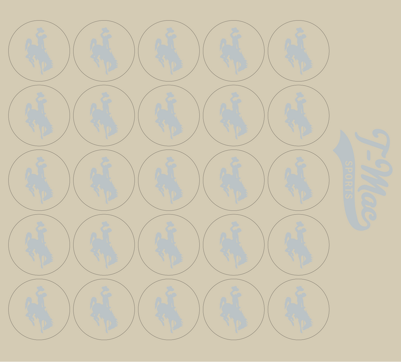 Bronco Award Decals
