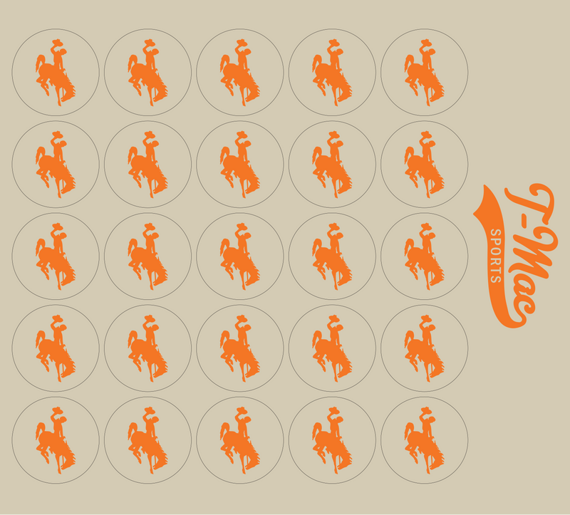 Bronco Award Decals